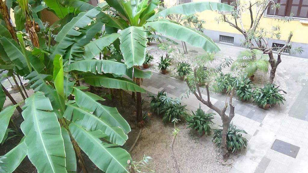 Bed And Breakfast Adduci'S House โรม ภายนอก รูปภาพ
